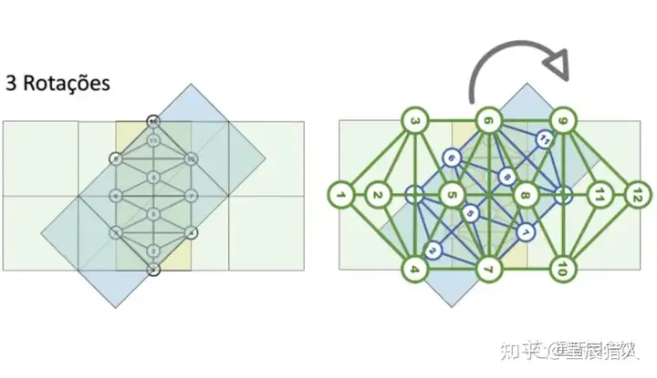 死亡之花和生命之花的区别(图18)