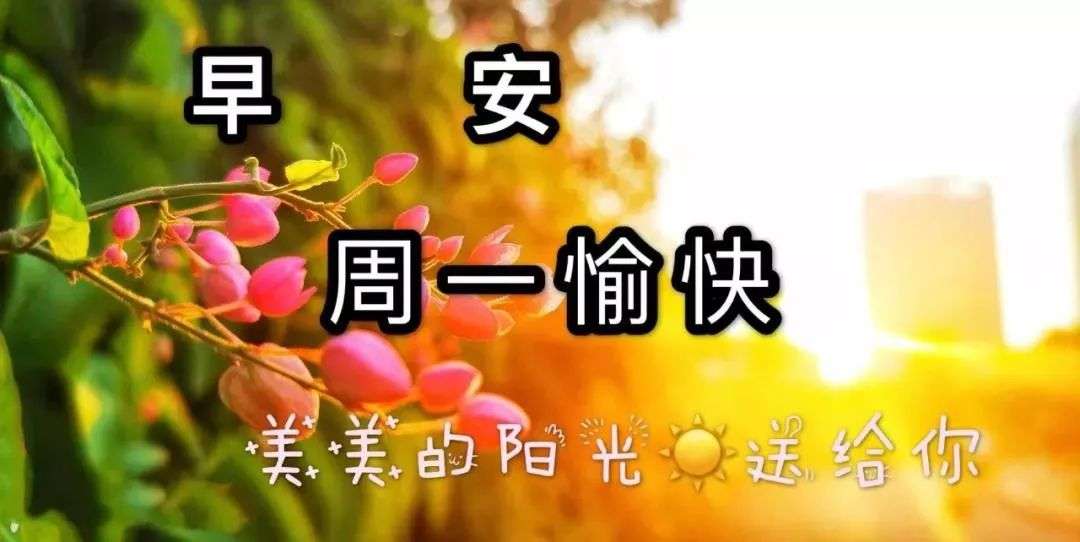 早晨非常阳光早安问候语祝福朋友 知乎