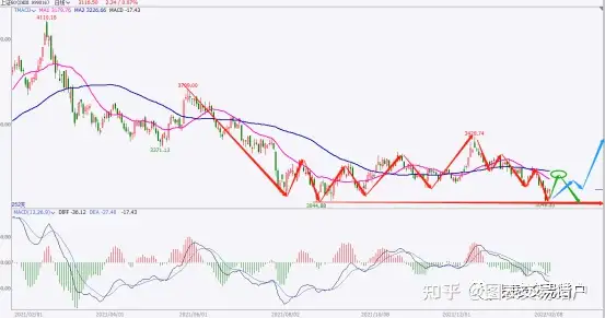 22 02 08市场观察日记 知乎