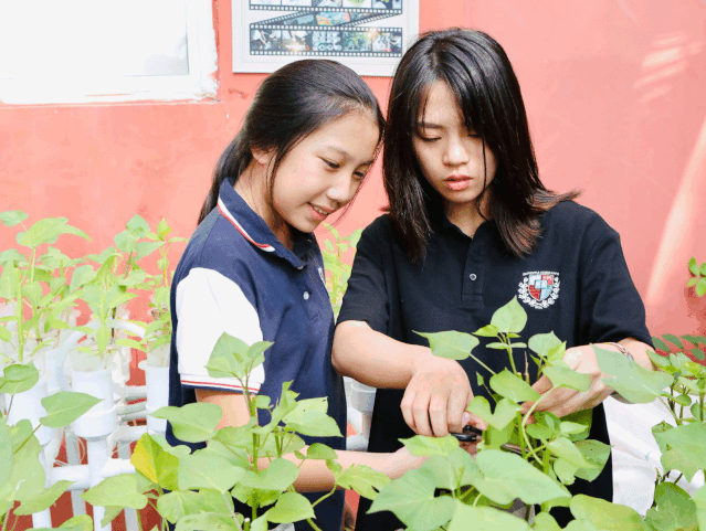 揭秘 在国际学校的一天究竟是怎样度过的 知乎