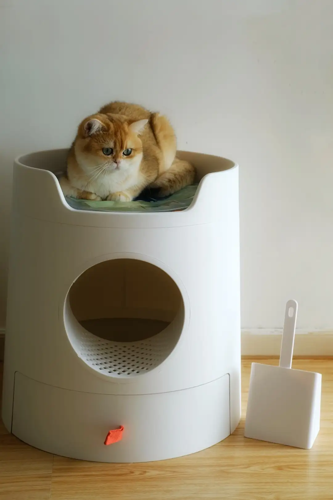 猫砂盆全半閉鎖猫トイレ超大猫糞尿盆外飛散防止猫砂盆小猫用品-