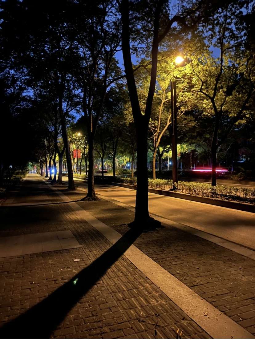 生活有点累 的想法: 我生活的的城市不算大,夏天的夜晚静悄悄