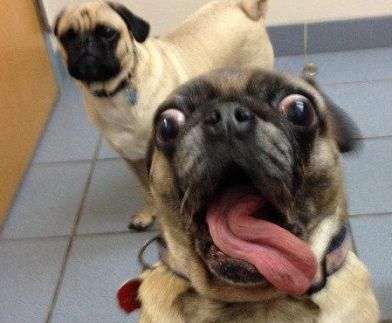 如何看待21 欧洲杯分组中f 组汇聚三届冠军球队 堪比 死亡之组 你最期待哪场对决 知乎