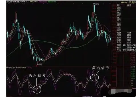 中国股市为什么会这么烂?终于有明白人讲清楚了,深读此文