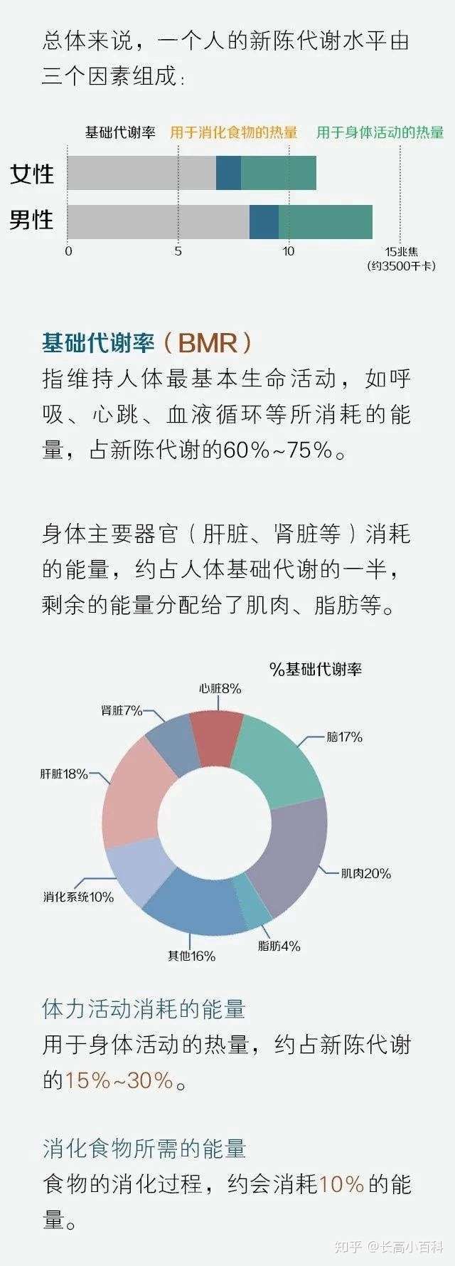 一个公式自测生长代谢水平 7招激活你的新陈代谢 知乎