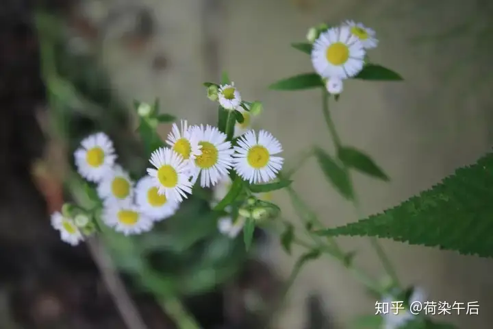 神瀑沟回顾|暑假纳凉耍水好去处