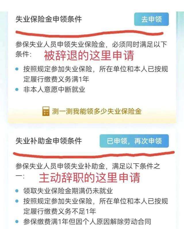 失业补助金审核通过多久到账（申请失业补助金后悔了）