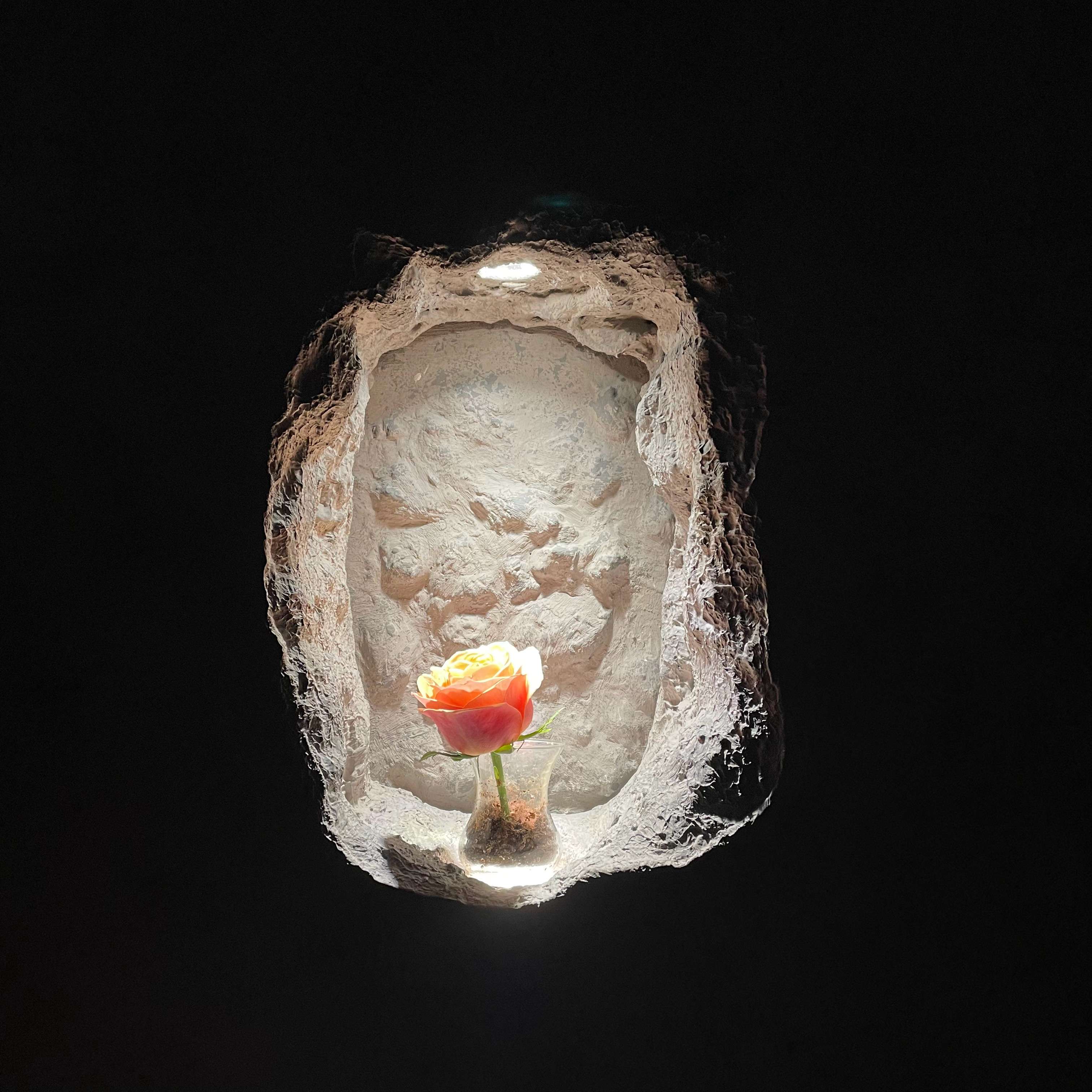 brickleberry - 知乎