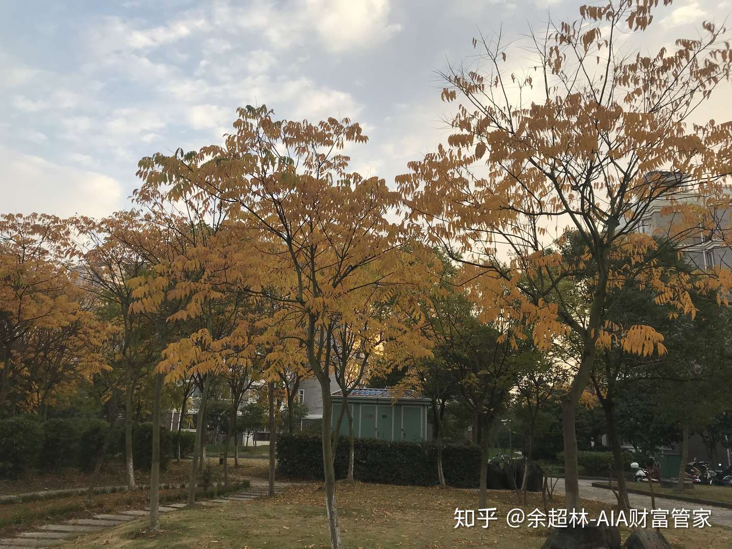 现代日本 史 简分享 知乎