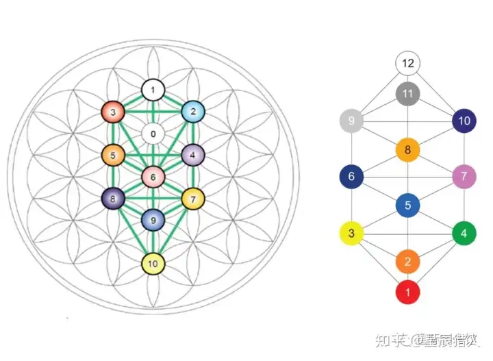 死亡之花和生命之花的区别(图12)