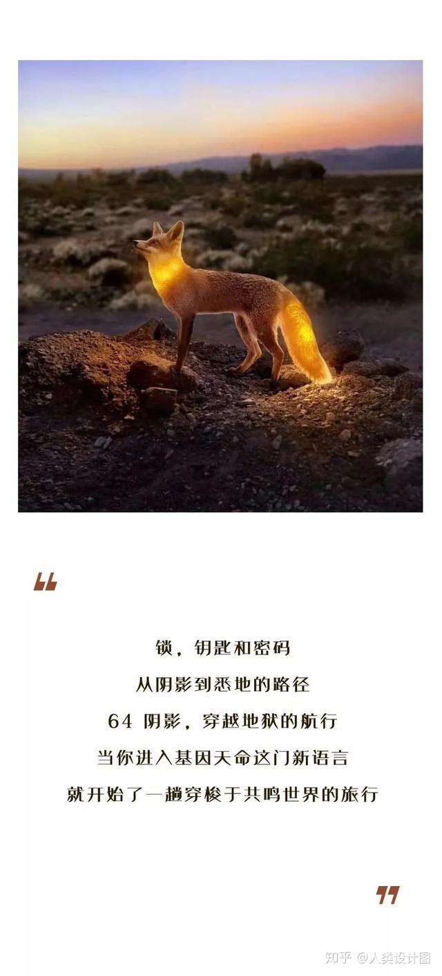 光的语 知乎