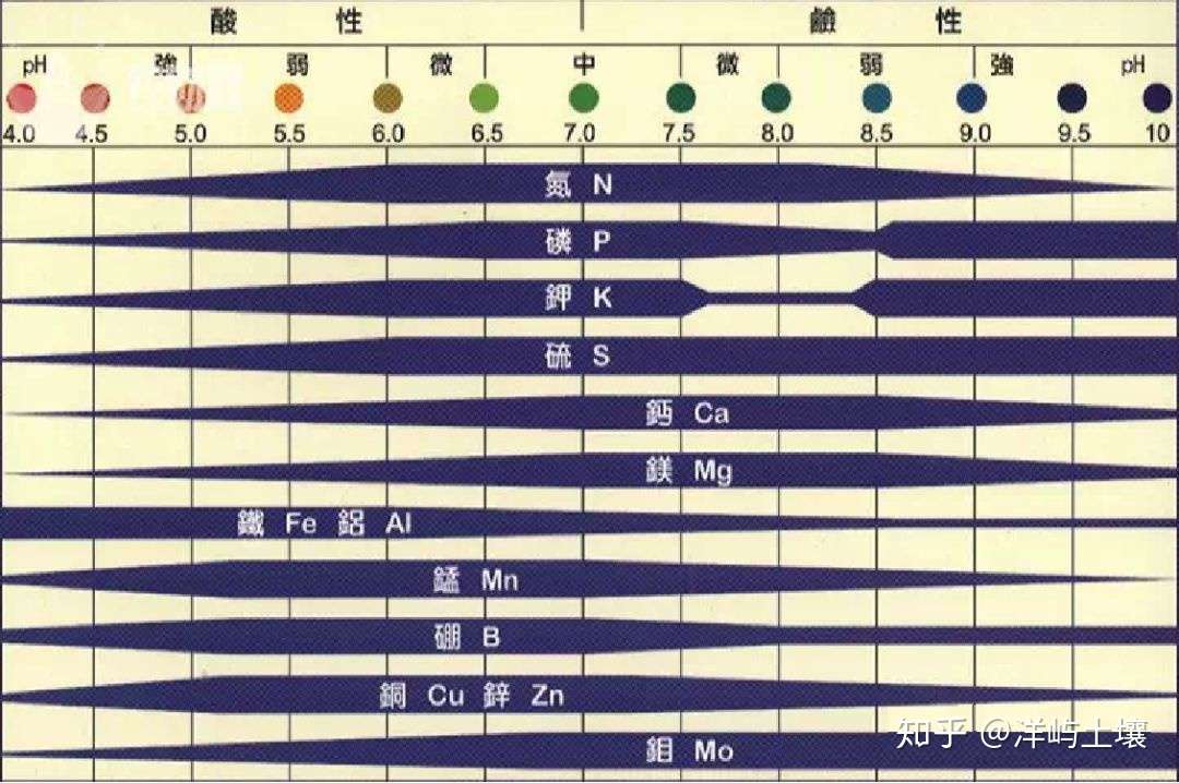 不懂土壤酸碱度 施再多肥也是白花钱 知乎