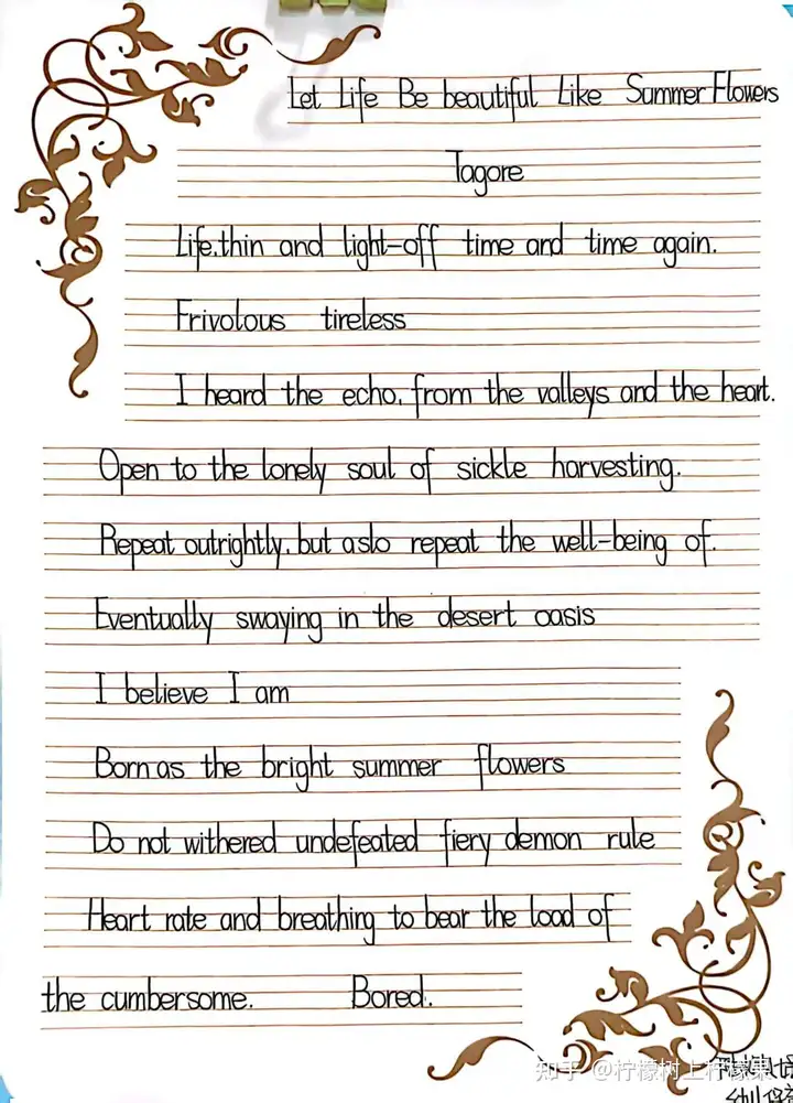 【書香校園】青春行筆探世界 思考落紙綻芳華 | 浙廣電中專塘棲校區(qū)英語書寫比賽優(yōu)秀作品展示(圖24)