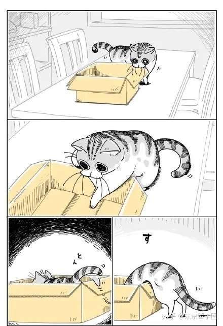 日本网友绘制 自己与猫猫的漫画 知乎