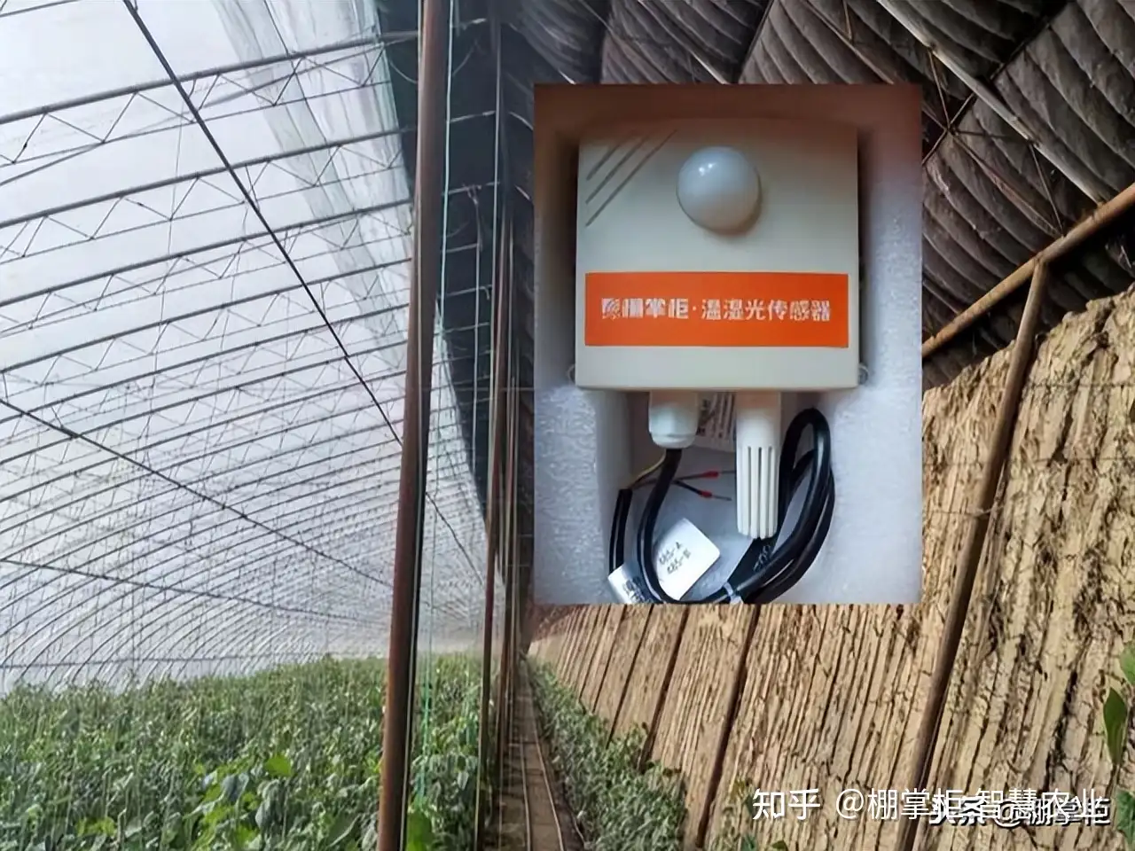大哥种植温室10多年 没想到用上了智能设备 一天操作几十个大棚 知乎