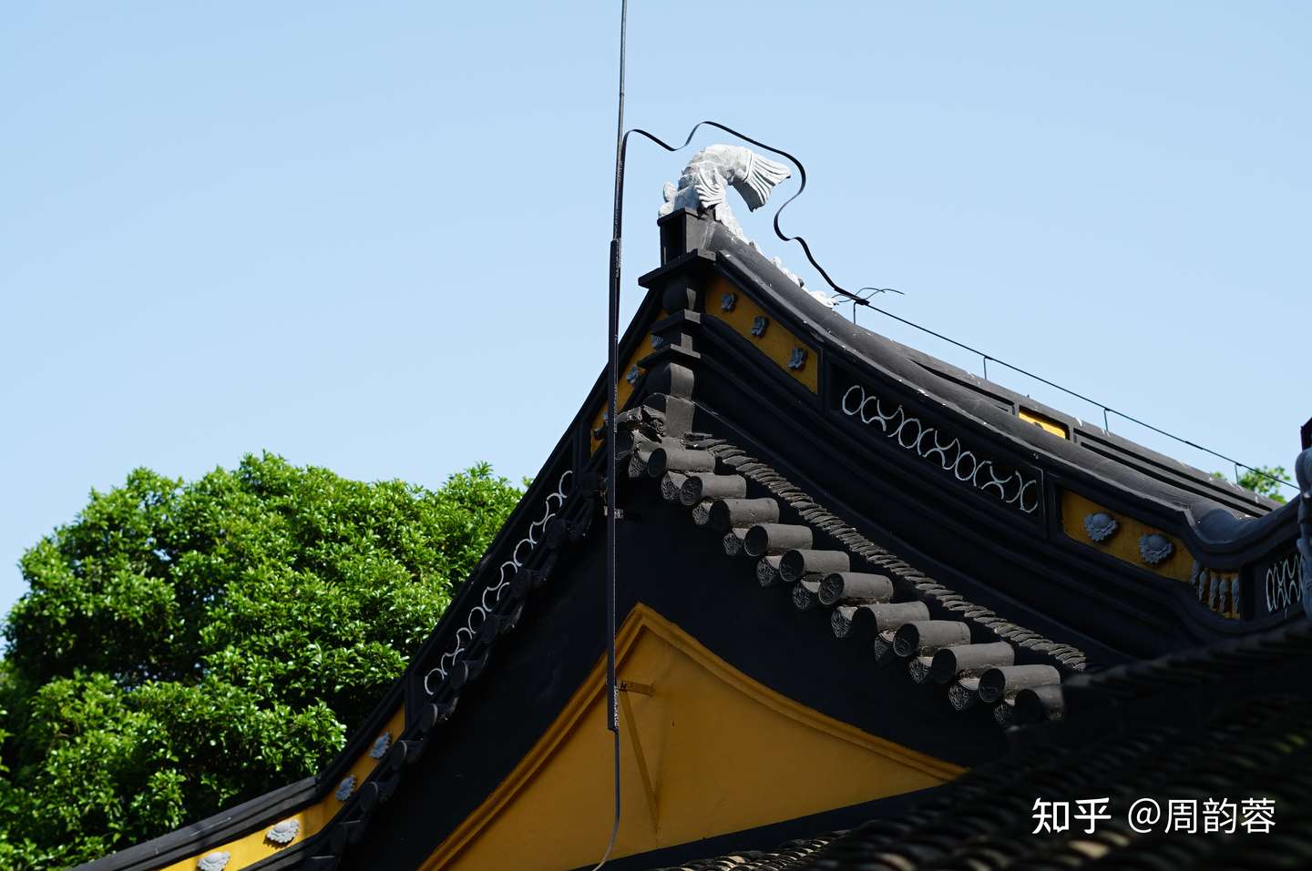 苏州小众打卡地 东山紫金庵 绿树浓阴夏日长 知乎