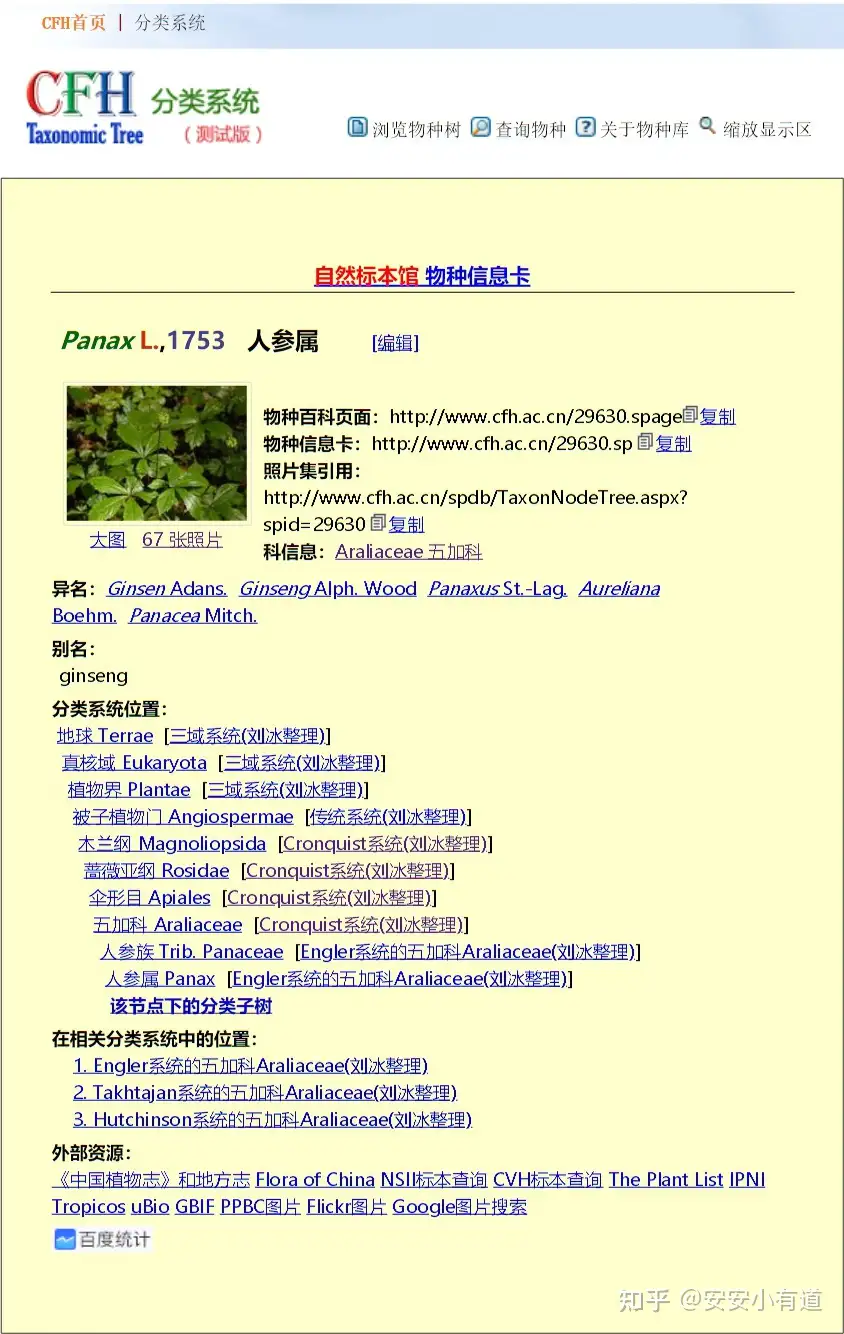 高丽参和长白山人参/红参是同种科属的植物？ - 知乎