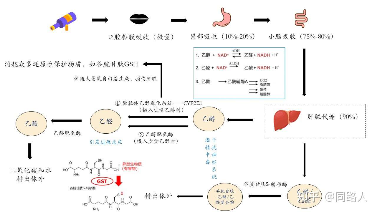 服装定制系统 东莞市邦臣智能科技有限公司