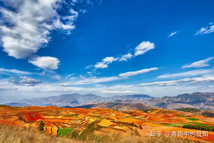 奔走相告（一路风景一路心情句子）发朋友圈风景的精美句子 第2张