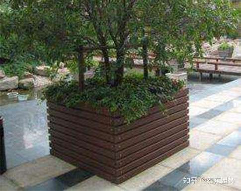 防腐木长方形矮花箱适合种什么花?