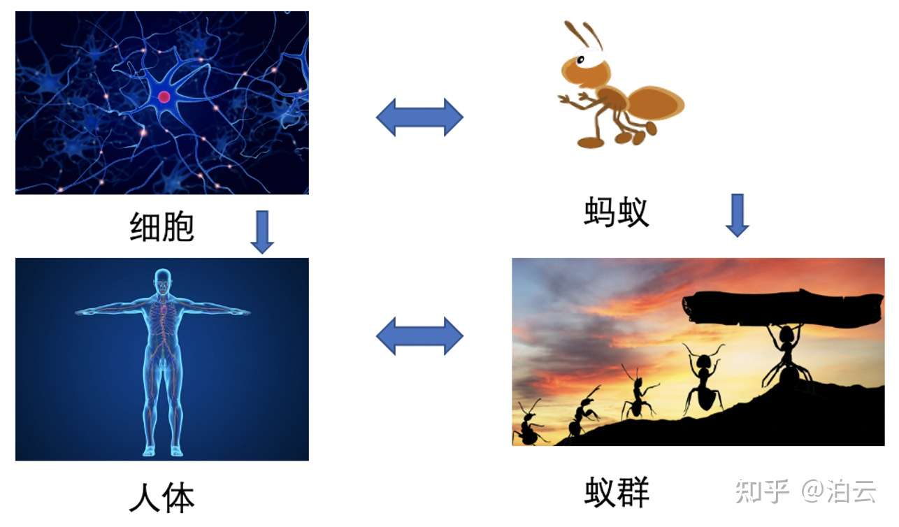 第四章生物意识的物理学本质与规律是什么 知乎