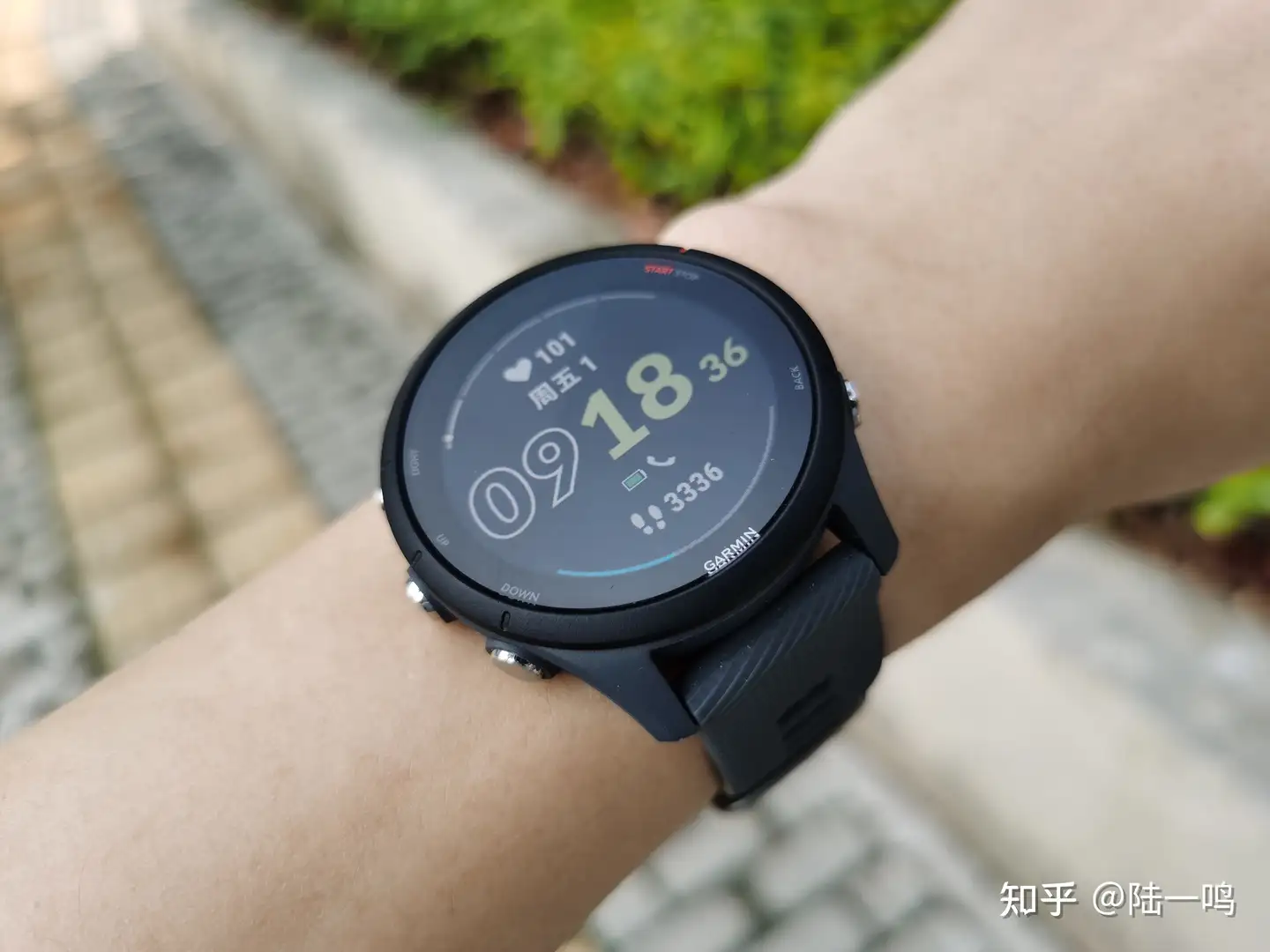 おまけ2点・保証書付】GARMIN Forerunner 255S 音声合成の時代が www