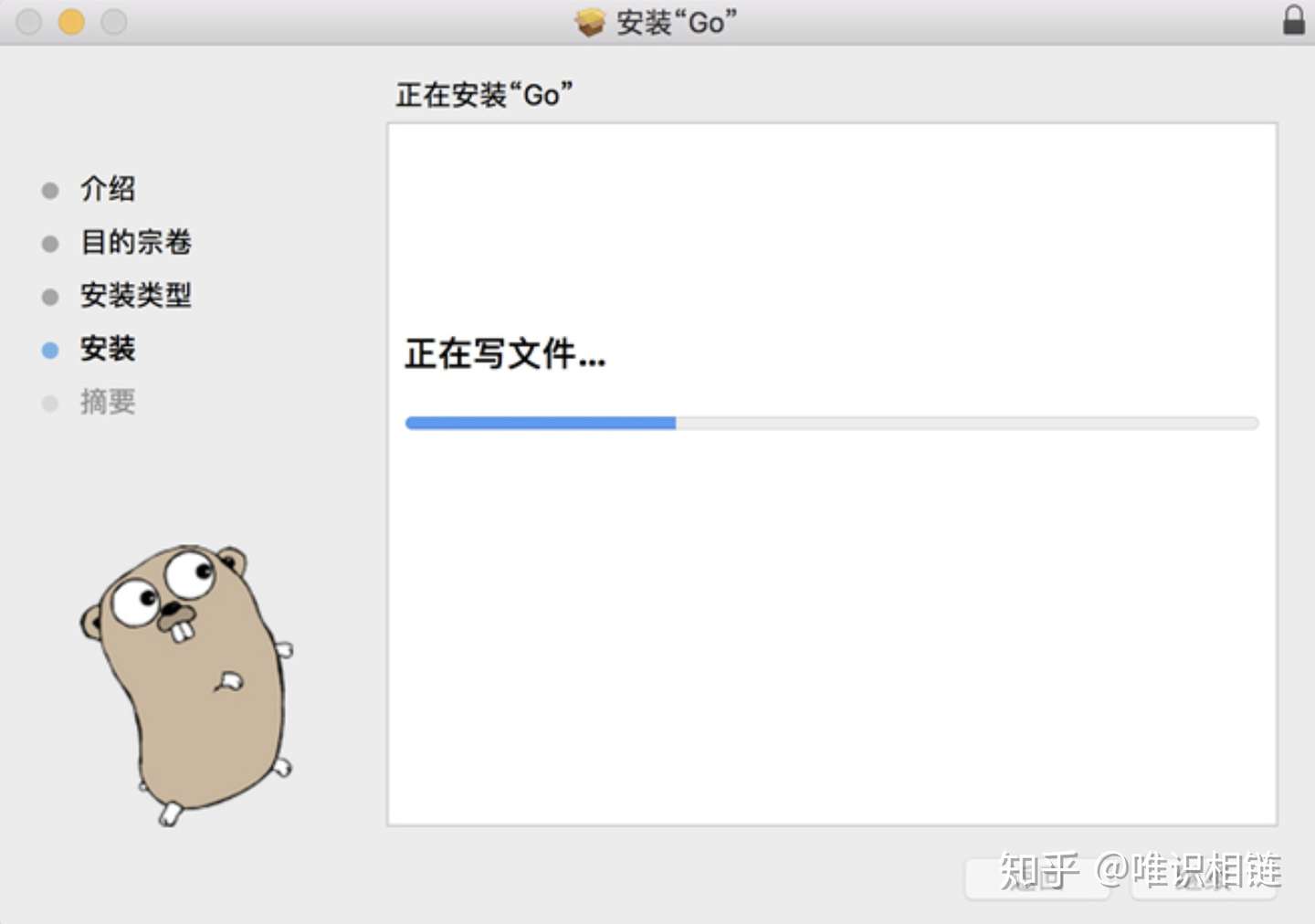 Golang快速入门 2 2 Go语言开发环境配置 Macos 知乎