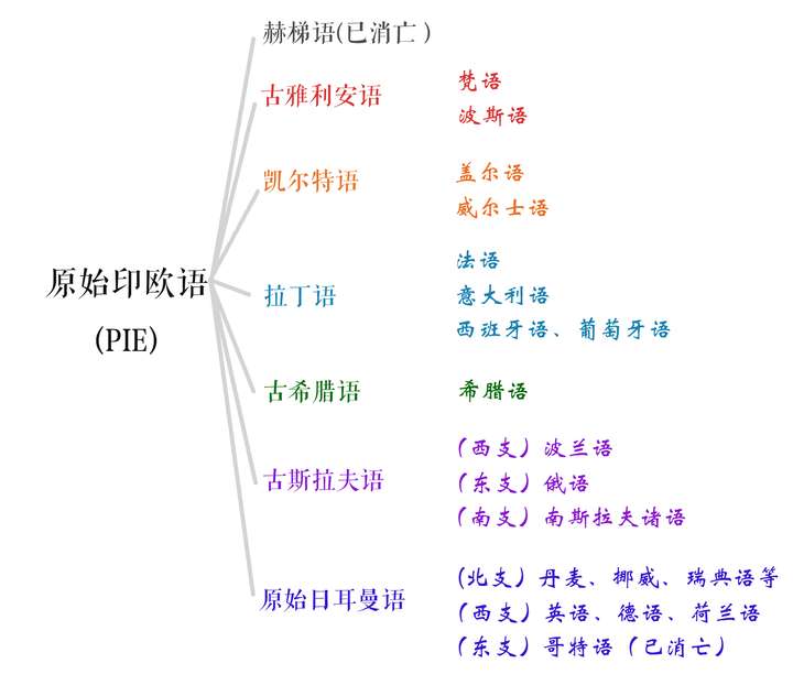 拉丁語使用人並不多,為什麼西方國家那麼多中學大學仍有拉丁語課?