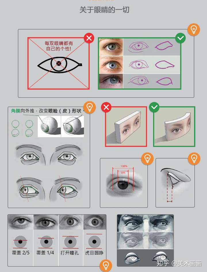 素描人物眼睛怎麼畫眼睛結構剖析