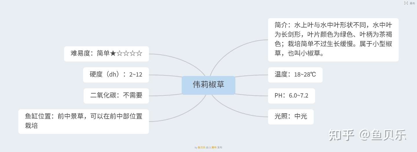 揭秘 113种水草的前世今生 知乎