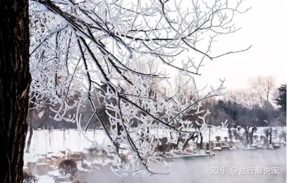 辽宁本溪水帘洞奇特风景，比水墨画还美，游玩之人无不称赞！