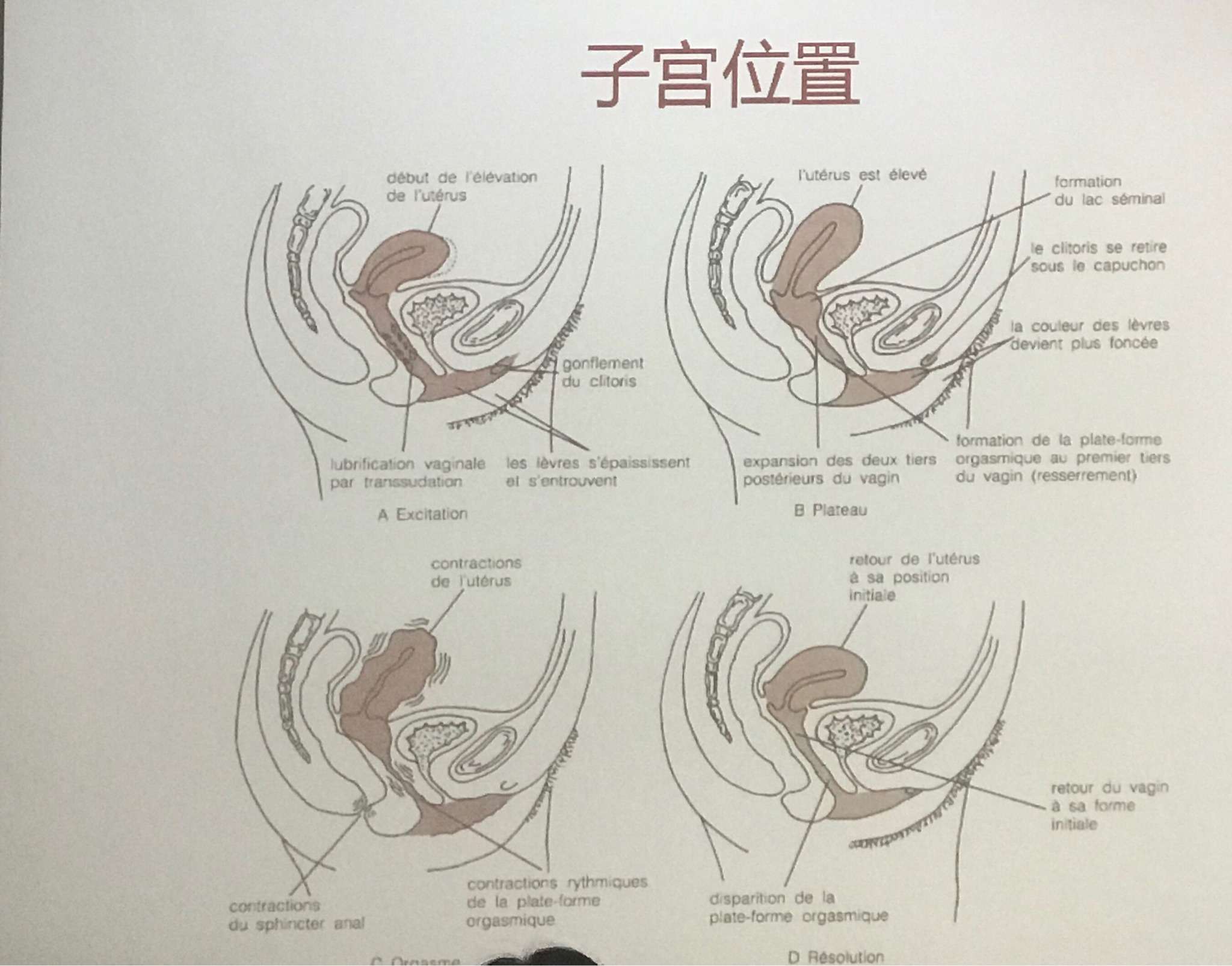我好困啊放个子宫高潮图振奋一下