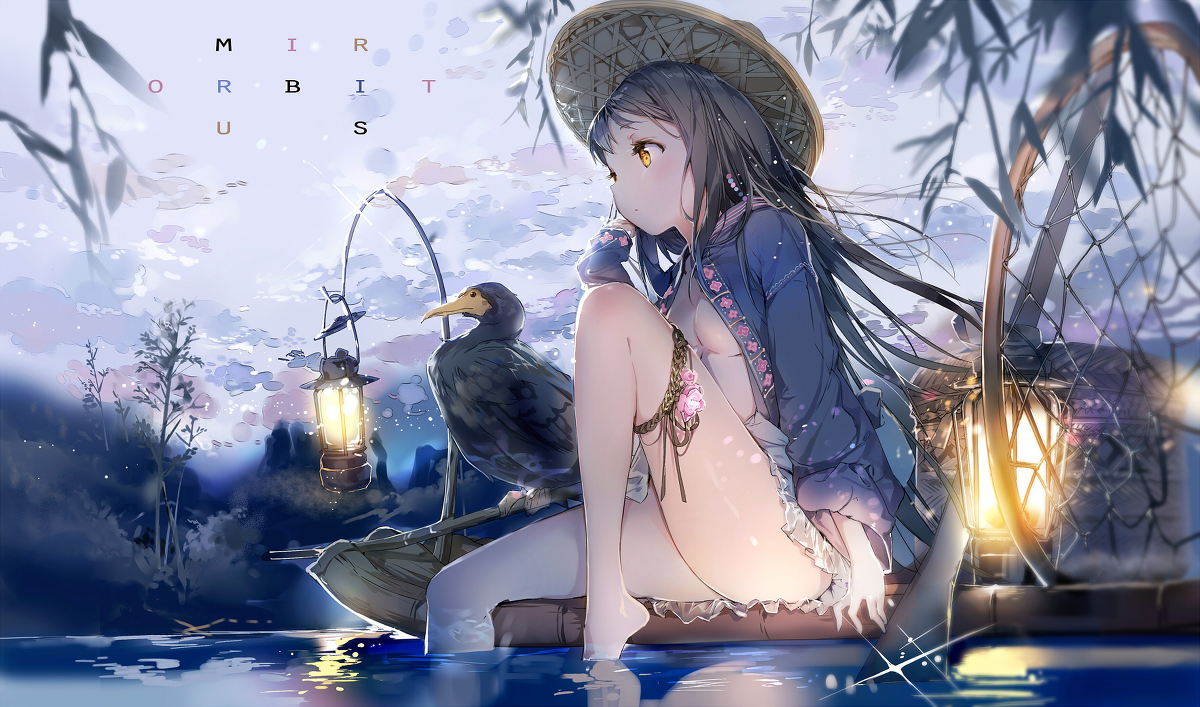 Pixiv 统计2019版 知乎