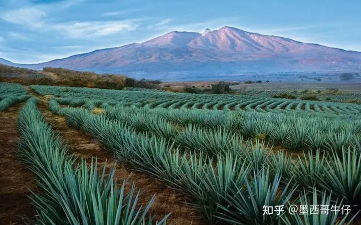 不可错过的三条墨西哥美景公路 - 墨华网 (图9)
