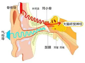 "骨传导"说白了就是通过骨头来引起听觉的一种传导过程,骨传导相对于