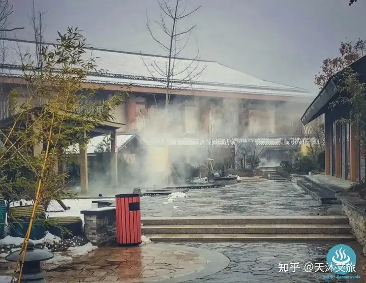 银杏金汤-鲁地天沐温泉度假区