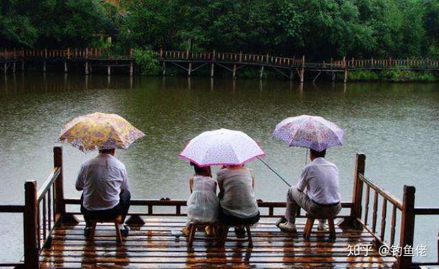 下雨也熄灭不了钓鱼人对钓鱼的狂热 这样钓 连连爆护 知乎