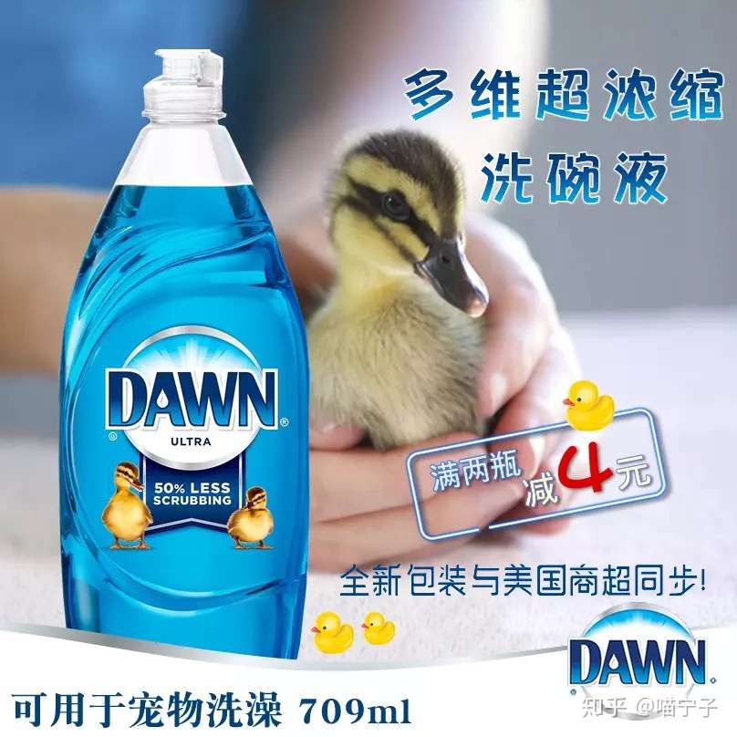 猫咪洗澡好物推荐第一弹 知乎