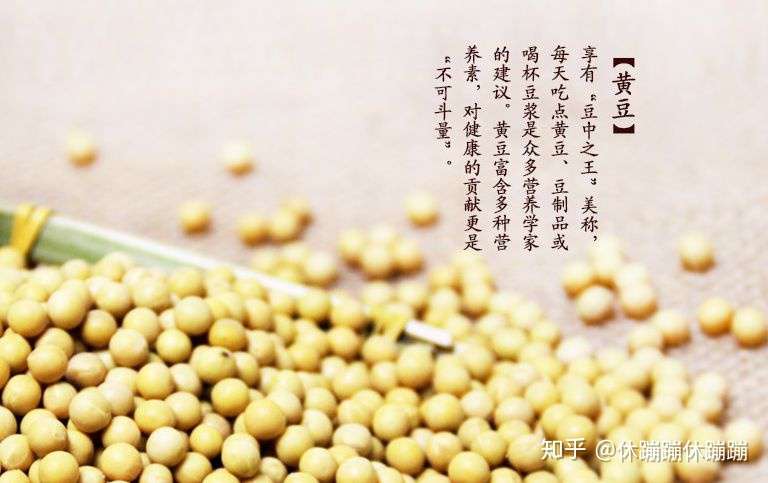 健脾养胃食物第八话 黄豆 知乎
