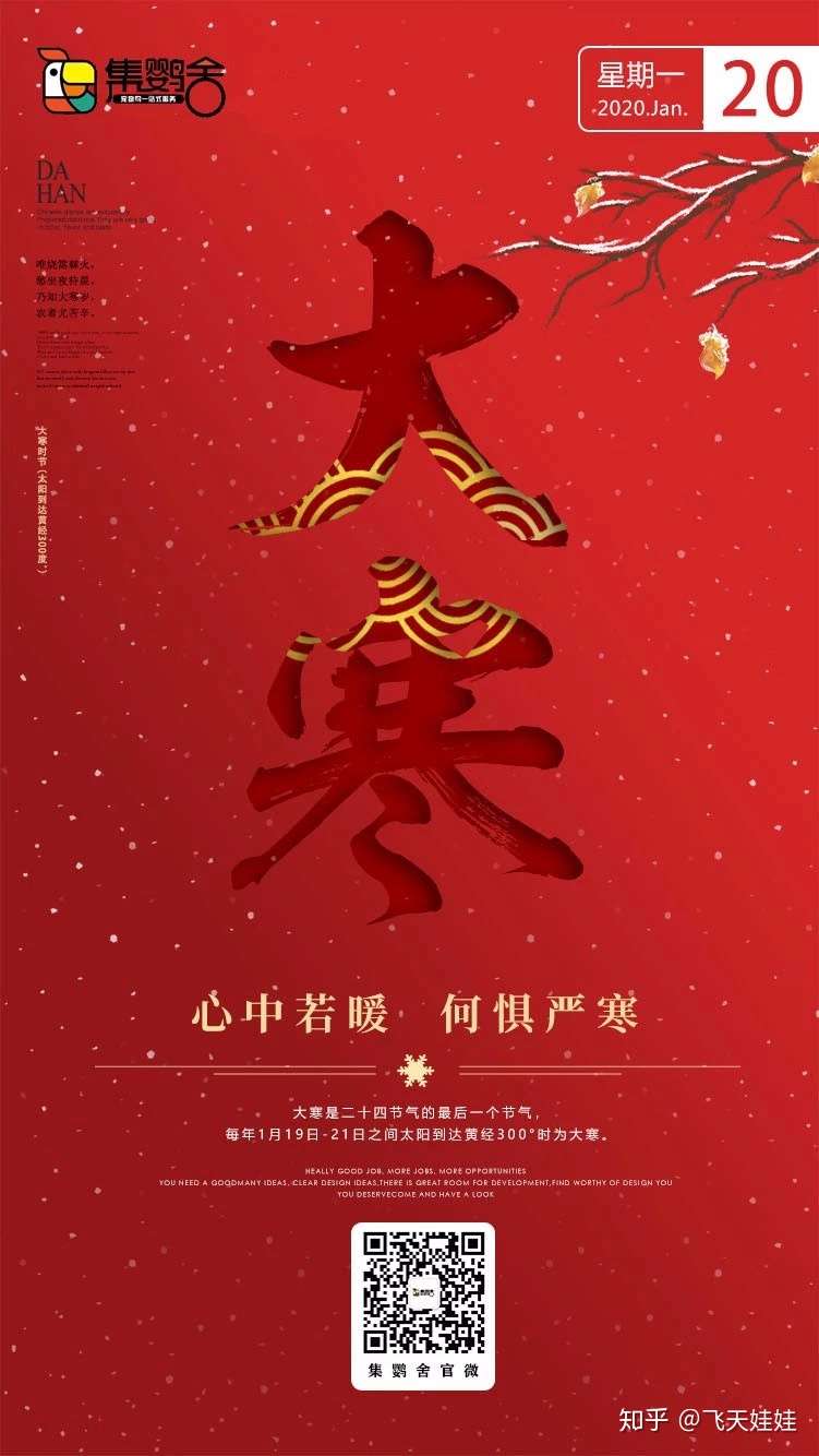 鹦鹉的羽毛变少了 那可能是得了这种病 知乎