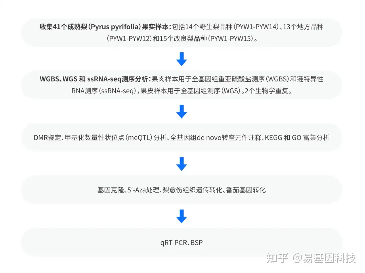 易基因： WGBS等揭示梨驯化和改良过程中DNA甲基化对果实成熟的作用机制 | 作物育种