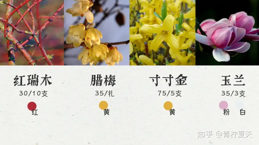 就带着这篇攻略去买年花吧 春节花材颜色 花材 搭配公式 知乎