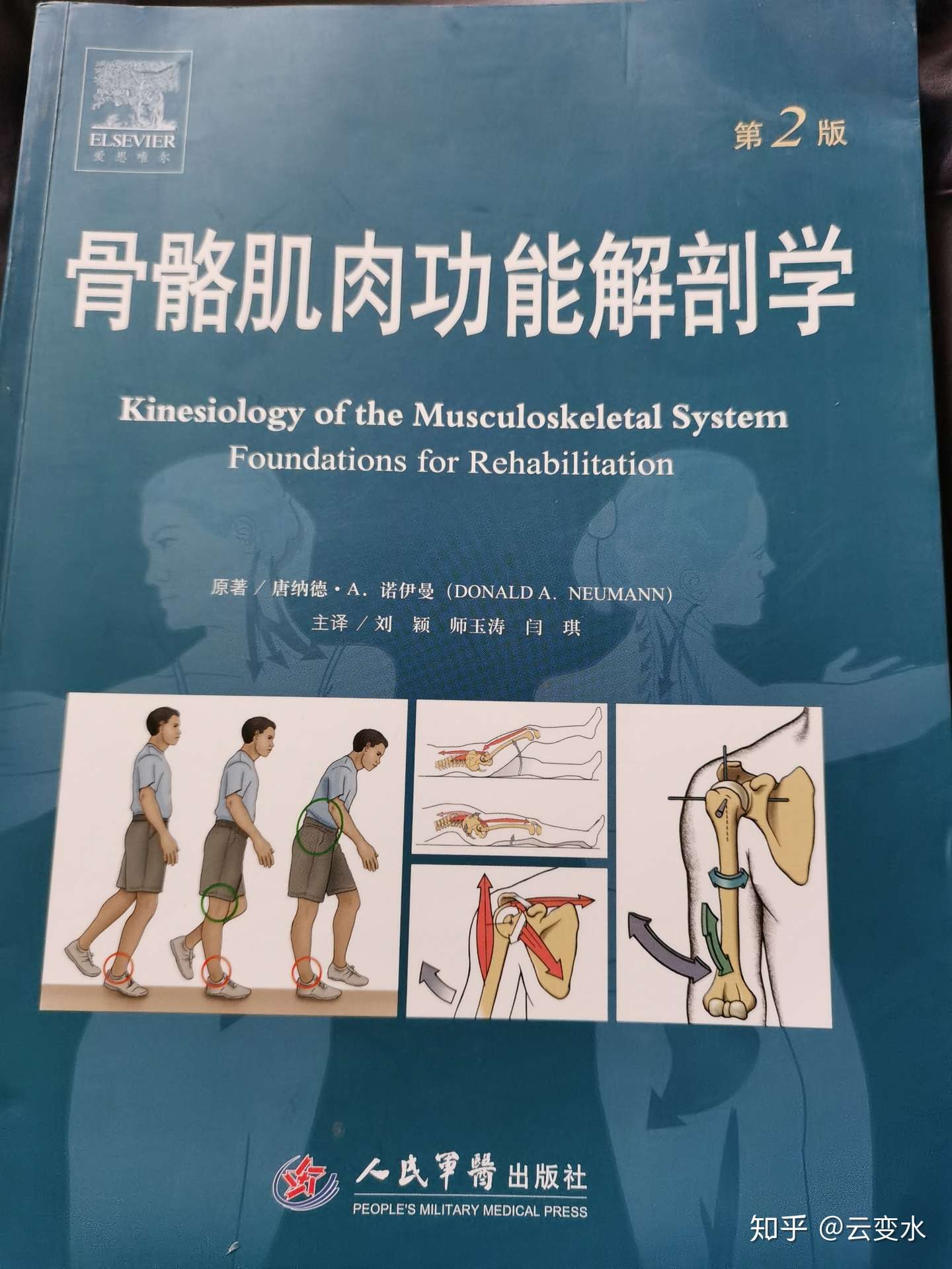 运动解剖学正版 新人首单立减十元 2021年11月 淘宝海外