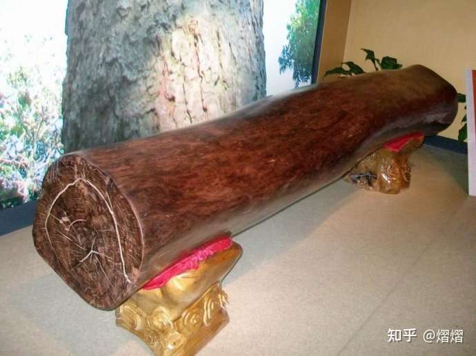 世界上最贵的木头 身价上千万的海南黄花梨入围前三 却不是第一 知乎