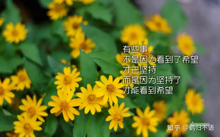 实习周记（15篇） 通用