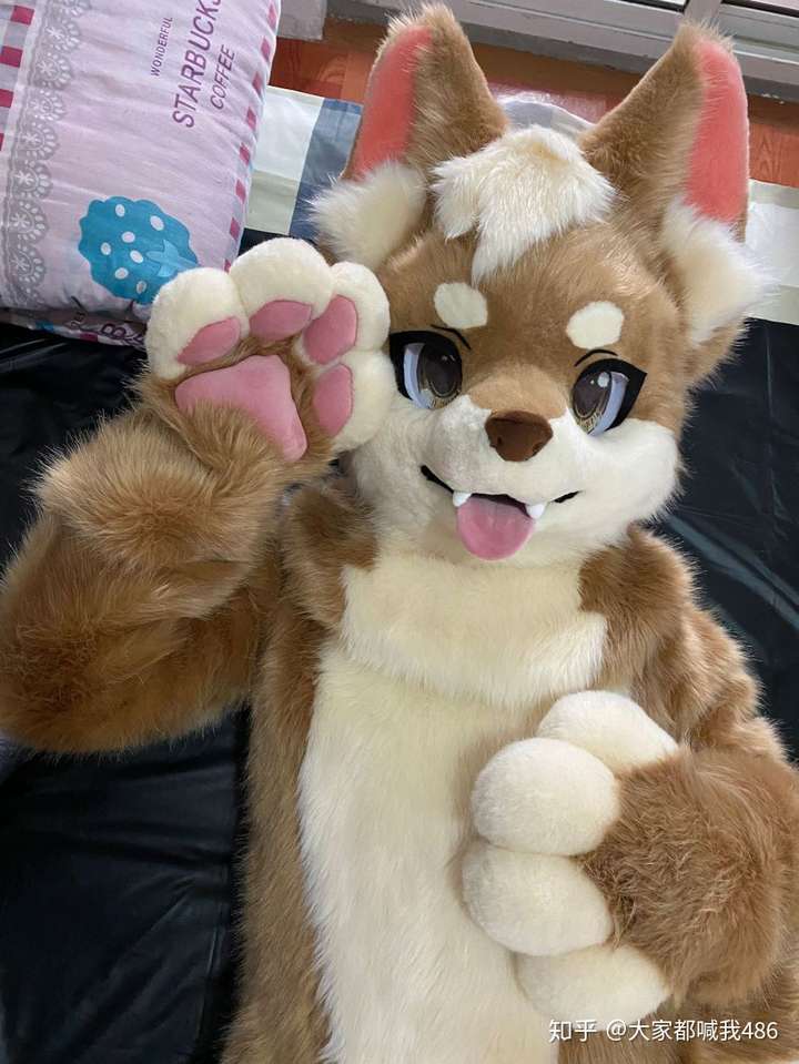 關注問題 67 寫回答 獸迷(furry) 獸裝 fursuit