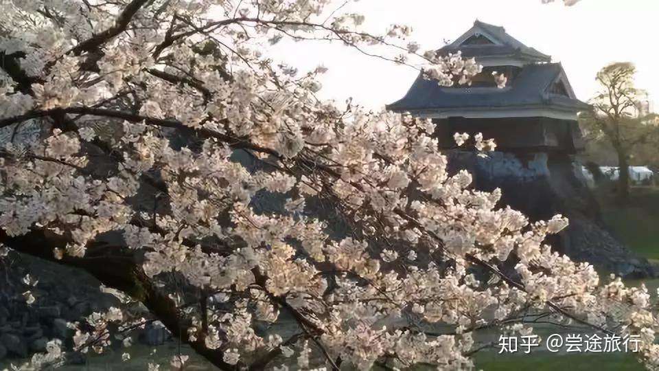 九州人气赏樱名所9选 这些乡土料理和樱花居然绝配了 知乎