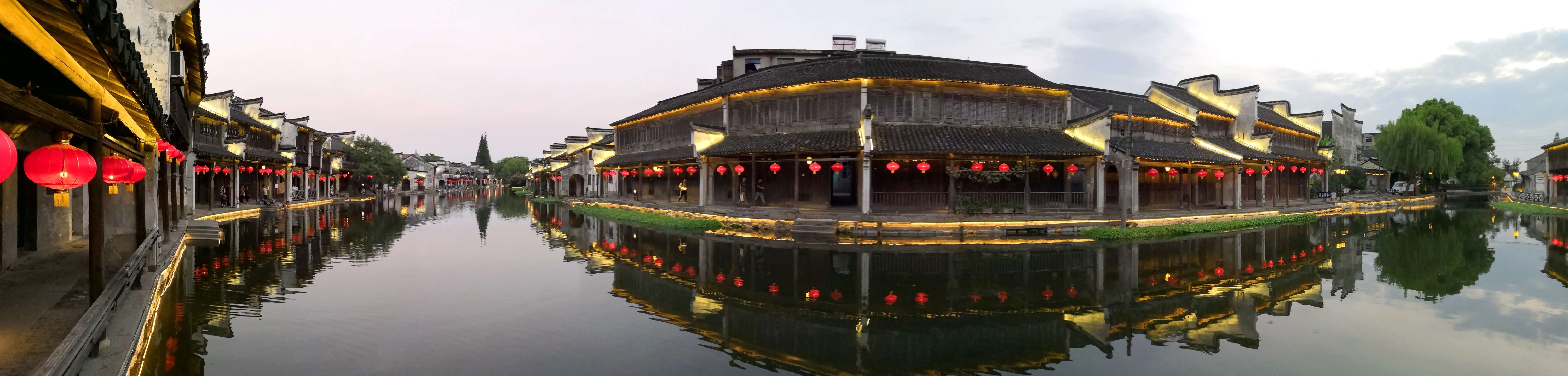 孤独奔跑的熊猫