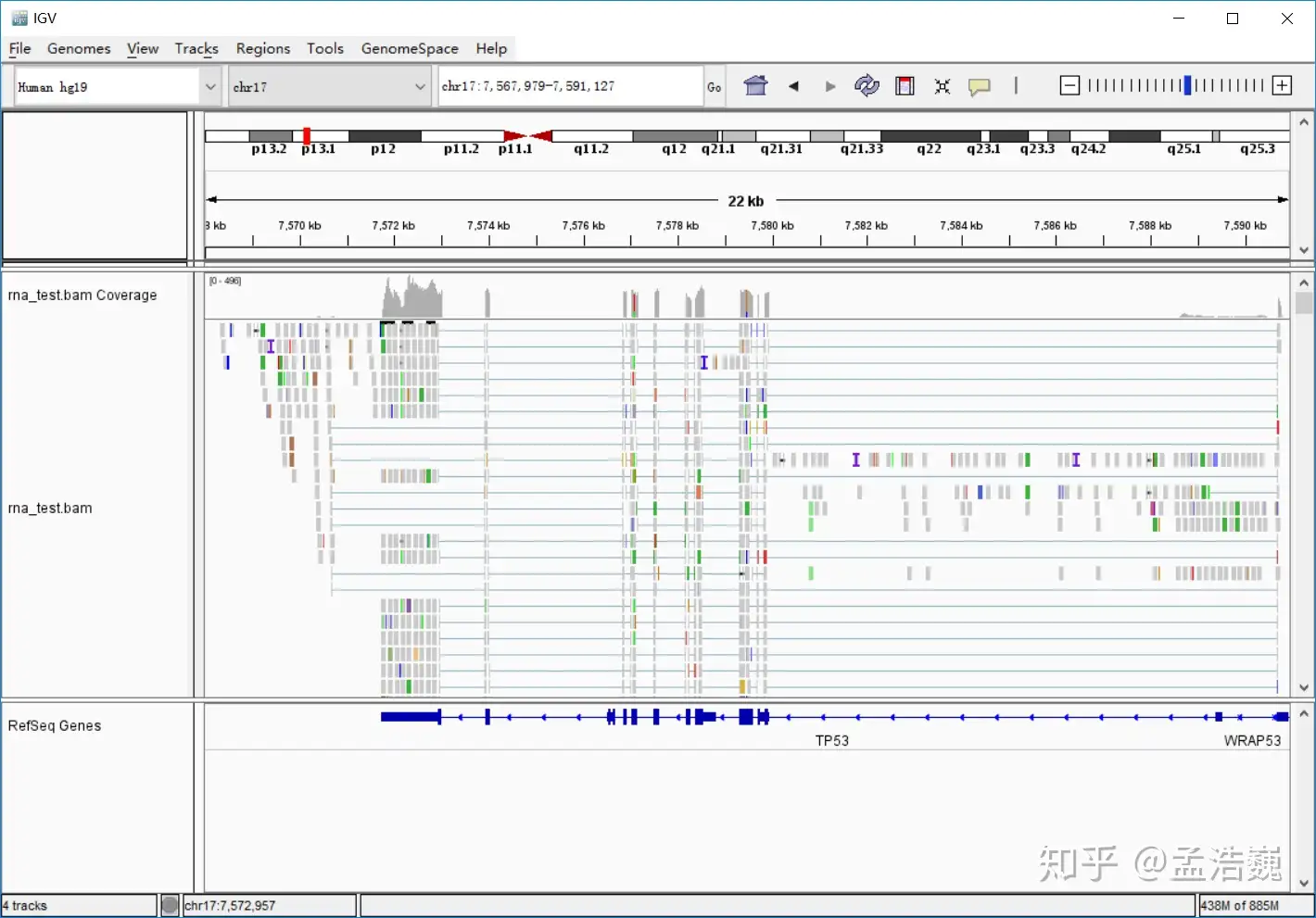 生物信息学100个基础问题—— 第30题IGVTools使用的一些小技巧- 知乎