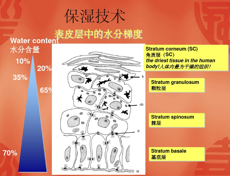 锁水磁石 Saccharide Isomerate 知乎